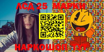 Альфа ПВП Гатчина