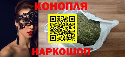 Альфа ПВП Гатчина