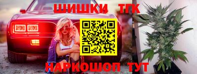 Альфа ПВП Гатчина