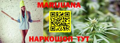 Альфа ПВП Гатчина