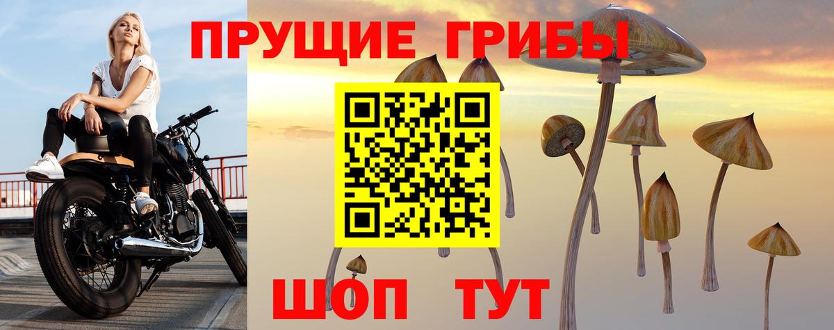 Псилоцибиновые грибы MAGIC MUSHROOMS  Вход с VPN  Галлюциногенные грибы Magic Shrooms  Гурьевск 