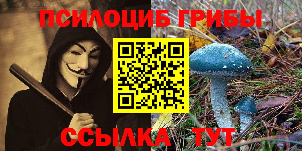 Псилоцибиновые грибы прущие грибы Гурьевск
